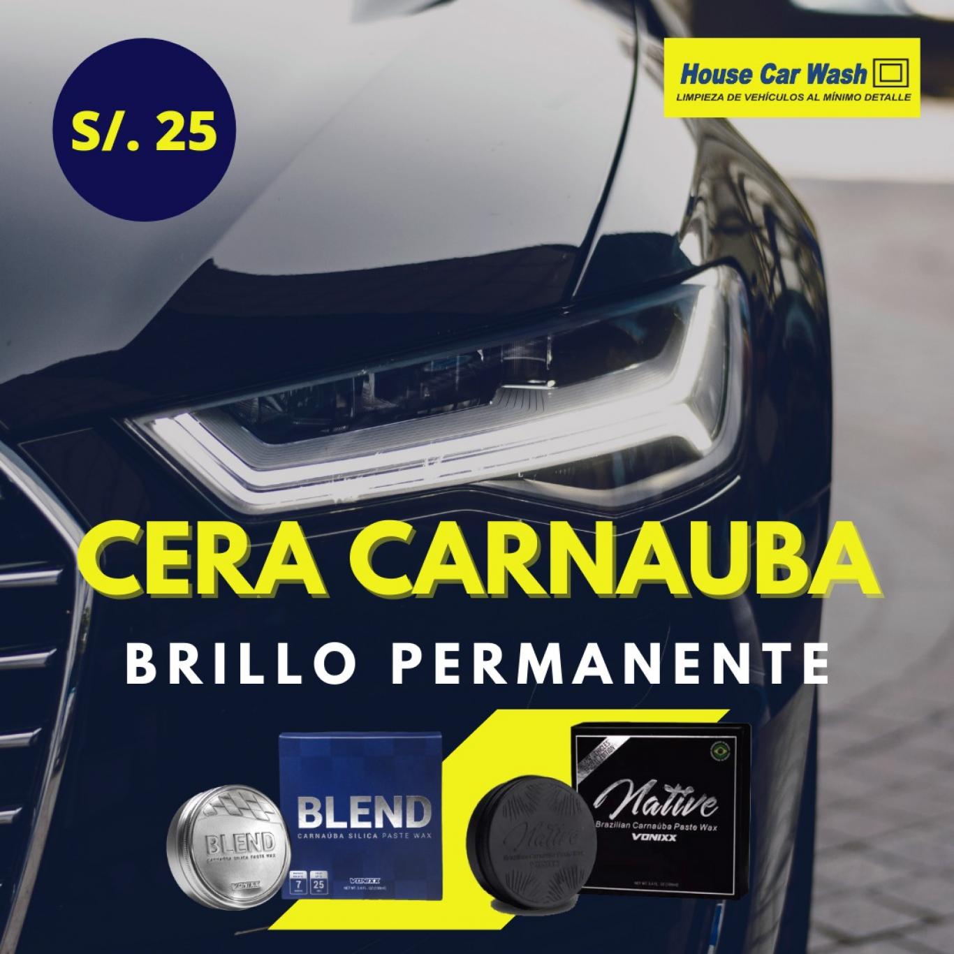 QUE ES LA CERA CARNAUBA?